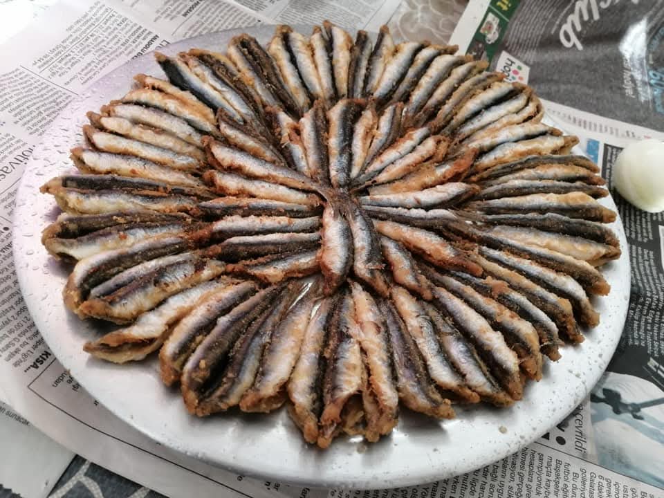 Hamsi tava, Karadeniz mutfağının tüm Türkiye'ye armağan ettiği, kış aylarının vazgeçilmez çıtır lezzetidir. Türk yemek kültüründe sadece bir balık yemeği değil, aynı zamanda dostların ve ailenin bir araya geldiği neşeli sofraların simgesidir. Parmaklarınızı kollayın Lütfen :-)